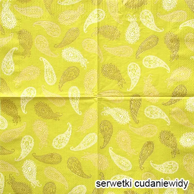 9968 Classic Paisley
