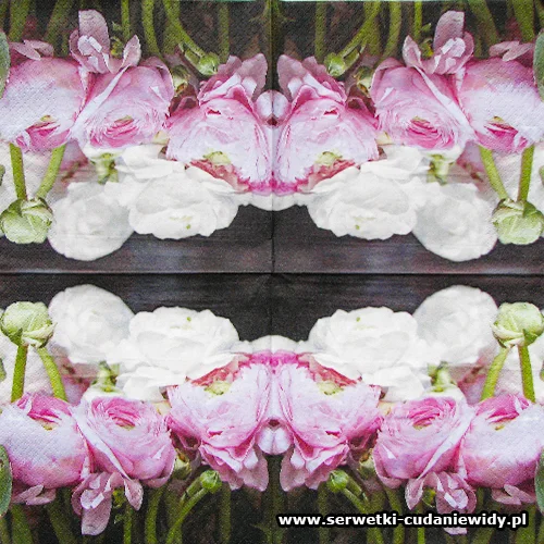 9978 Pink And White Ranunculus