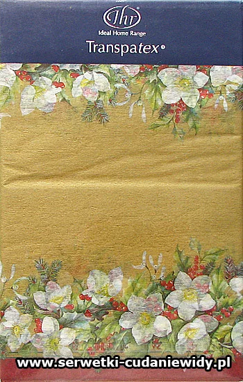 BIE08 Wym:600X33Cm