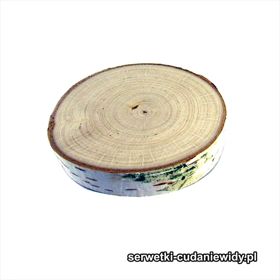 DRE002 Plaster Drewna Brzozowego Z Korą