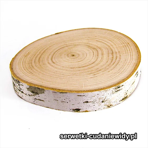 DRE003 Plaster Drewna Brzozowego Z Korą