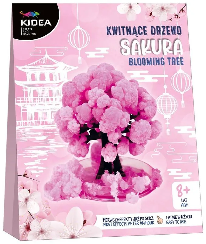 DRF701122 Drzewo Kwitnące Sakura