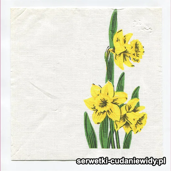 OLD2298 Serwetka Z Lat 80-Tych