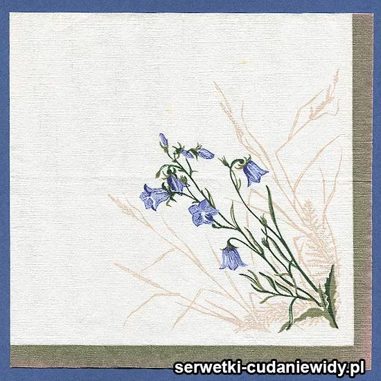 OLD2410 Serwetka Z Lat 80 -Tych