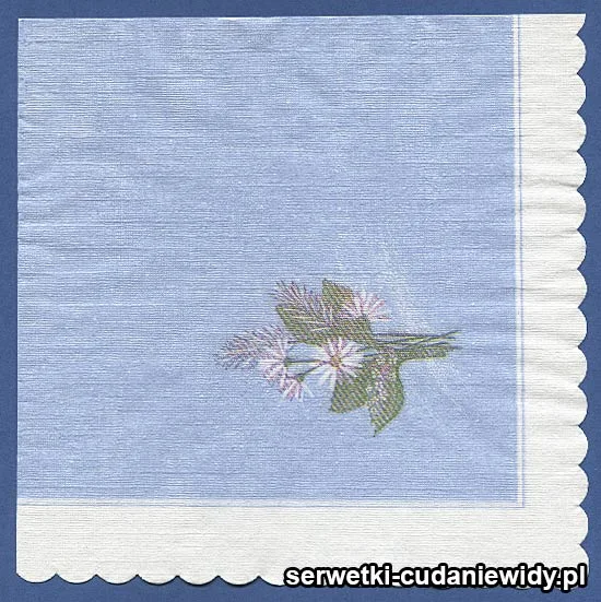 OLD2433 Serwetka Z Lat 70 -Tych