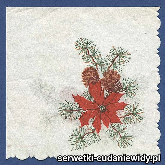 OLD2496 Serwetka Z Lat 60 -Tych