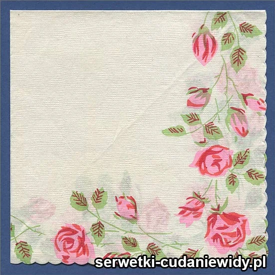 OLD2508 Serwetka Z Lat 60 -Tych