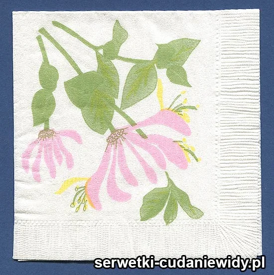 OLD2509 Serwetka Z Lat 60 -Tych