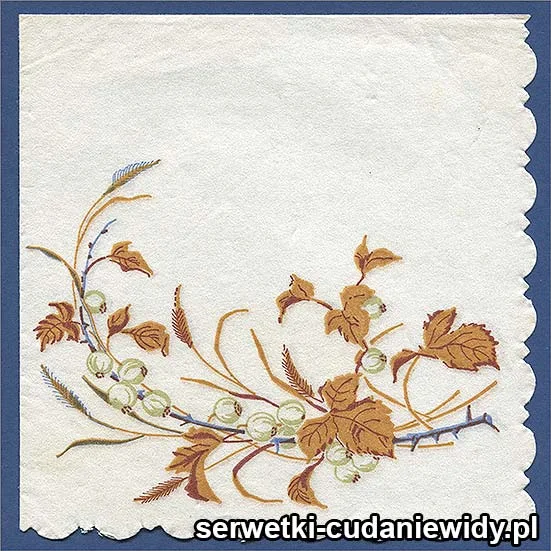OLD2527 Serwetka Z Lat 60 -Tych