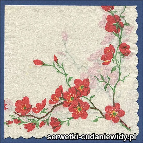 OLD2580 Serwetka Z Lat 60 -Tych