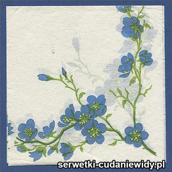 OLD2582 Serwetka Z Lat 60 -Tych