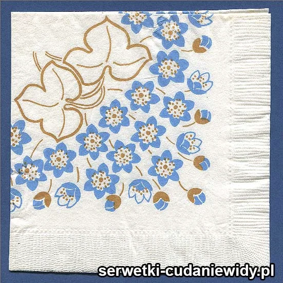 OLD2602 Serwetka Z Lat 60 -Tych