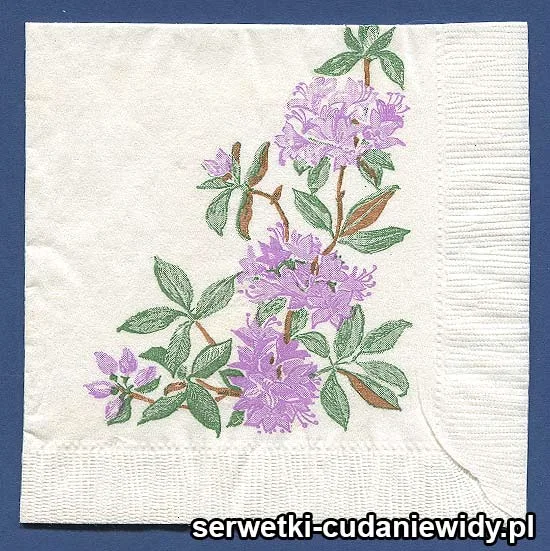 OLD2610 Serwetka Z Lat 60 -Tych