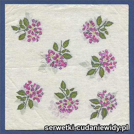 OLD2659 Serwetka Z Lat 70 -Tych