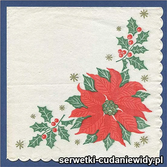 OLD2886 Serwetka Z Lat 60 -Tych