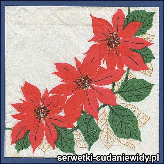 OLD2889 Serwetka Z Lat 60 -Tych