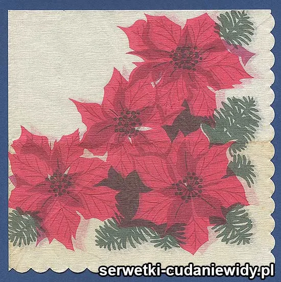 OLD2898 Serwetka Z Lat 80 -Tych