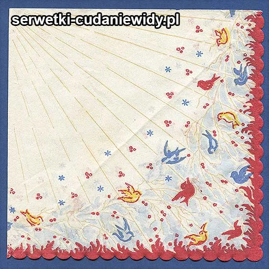 OLD2946 Serwetka Z Lat 60 -Tych
