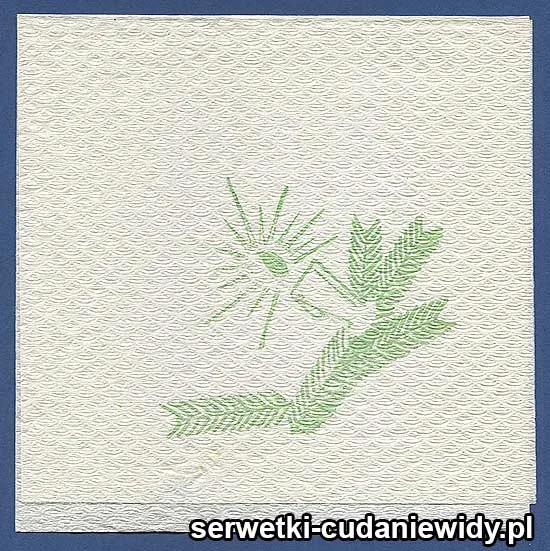OLD3040 Serwetka Z Lat 80 -Tych