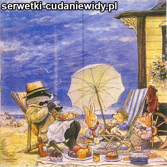 RAR1025 Serwetka Papierowa