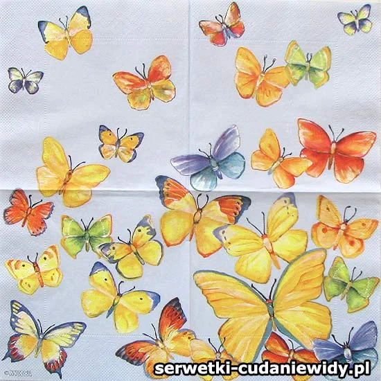 RAR2015 Archiwalny Wzór
