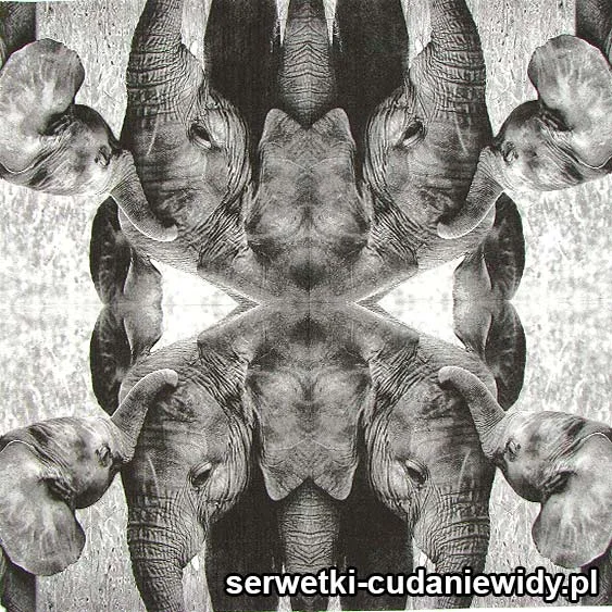 RAR210 Serwetki Ozdobne
