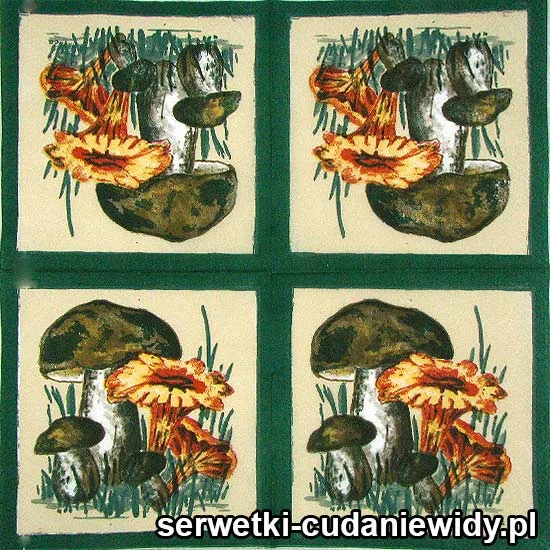 RAR2281 Serwetki Dekoracyjne
