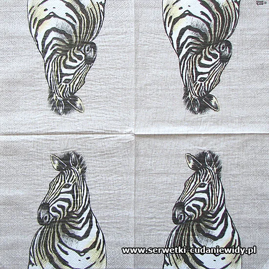 RAR2421 Zebra