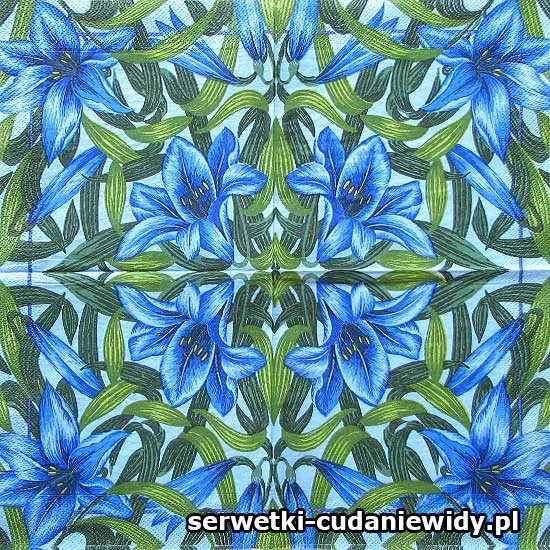 RAR2500 Archiwalny Wzór