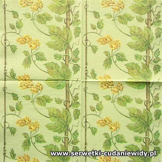 RAR2520 Oryginalny Wzór
