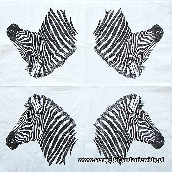 RAR2539 Zebra
