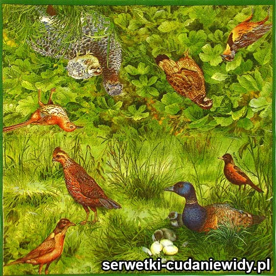RAR2584 Serwetki Dekoracyjne
