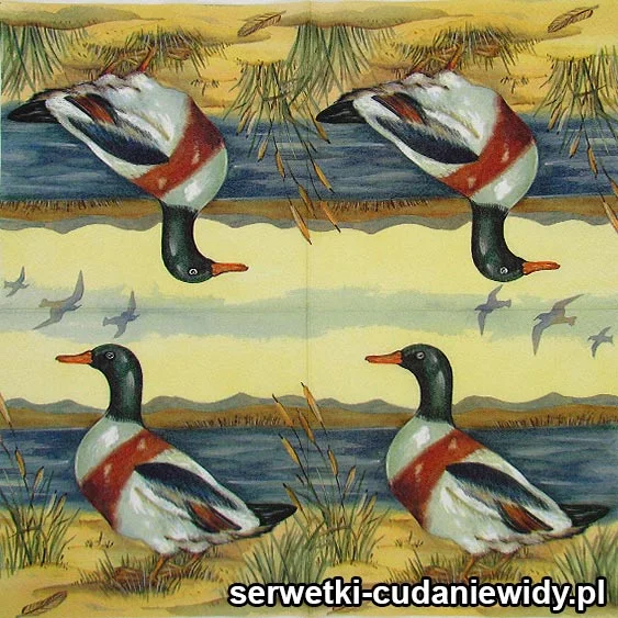 RAR2597 Serwetki Dekoracyjne