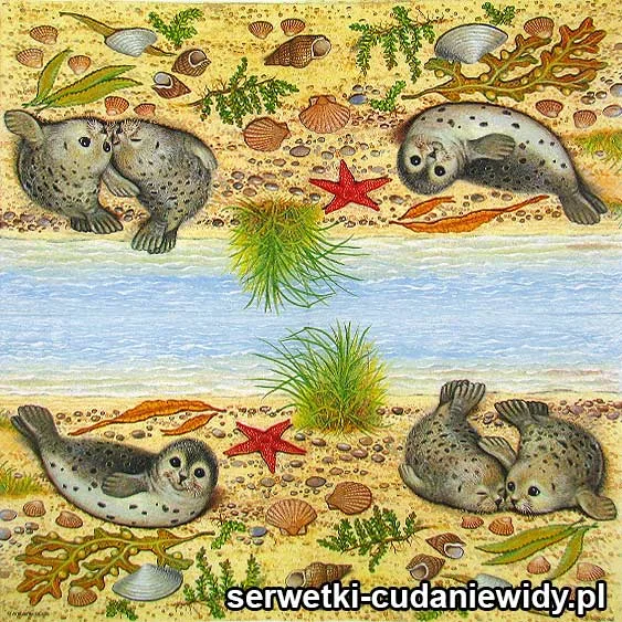 RAR2656 Serwetki Dekoracyjne