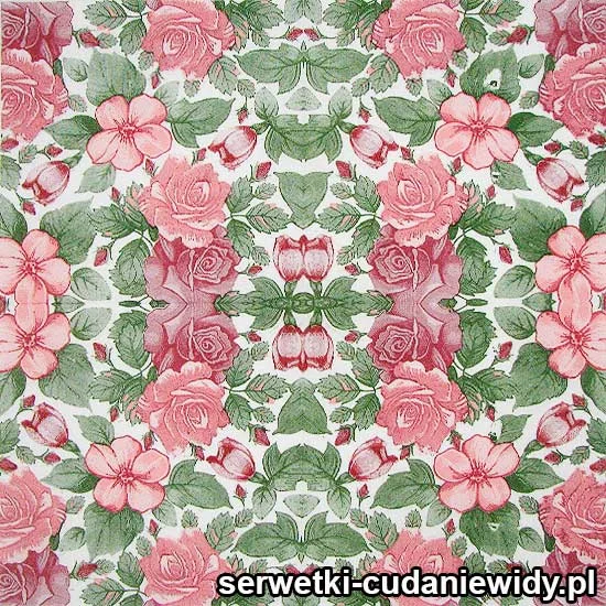RAR2741 Serwetki Unikatowe