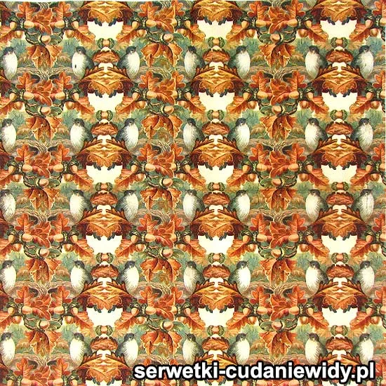 RAR2859 Piękne Serwetki