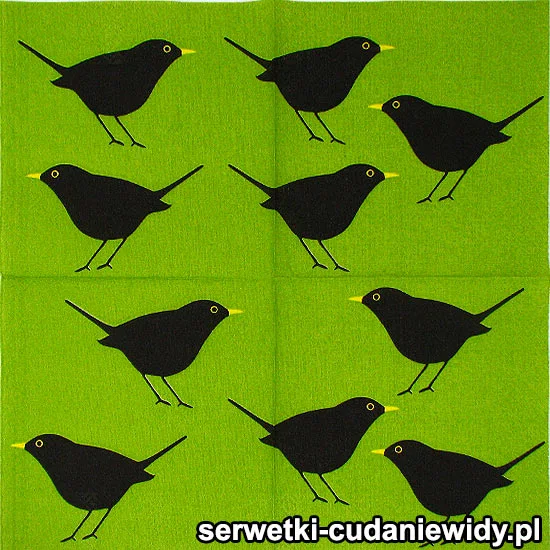 RAR2860 Piękne Serwetki
