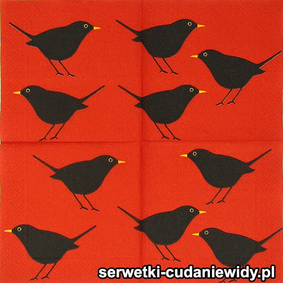 RAR2861 Piękne Serwetki