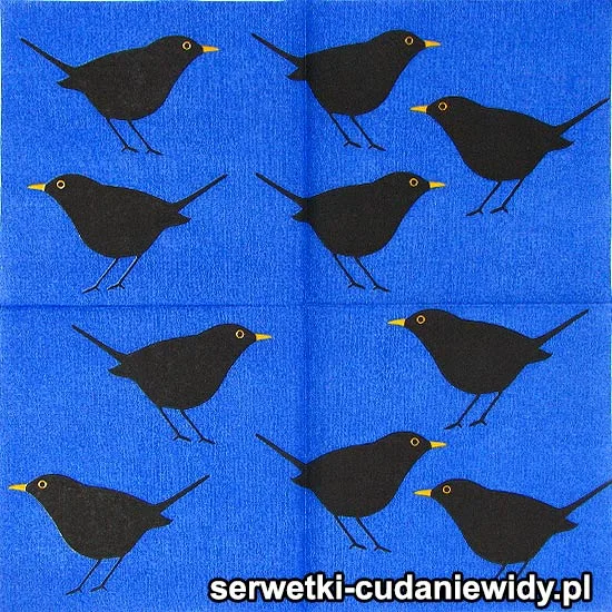 RAR2862 Piękne Serwetki
