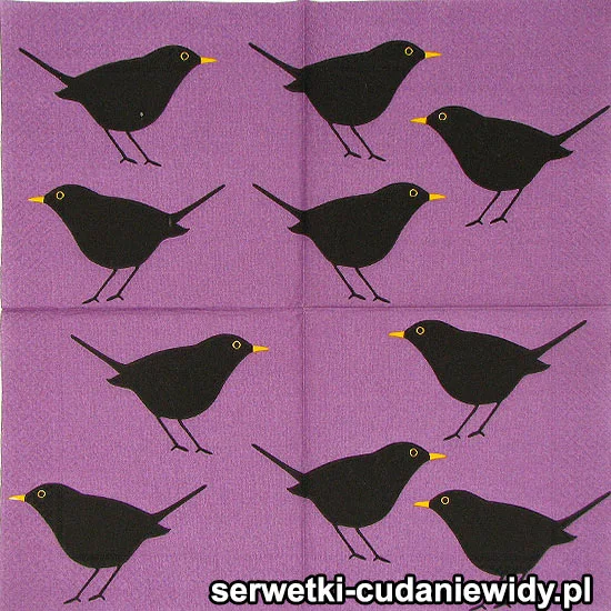 RAR2865 Piękne Serwetki