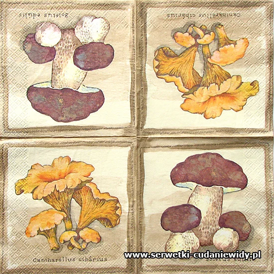 RAR314 Mushrooms
