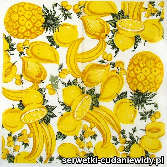 RAR328 Serwetki Papierowe