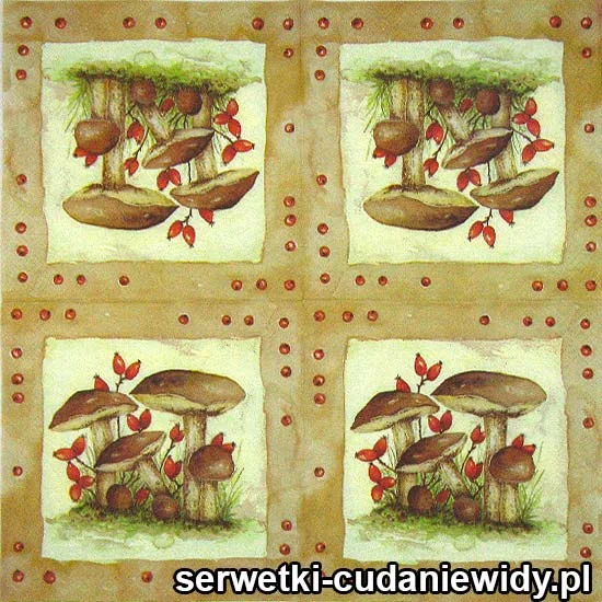 RAR3592 Serwetka Papierowa