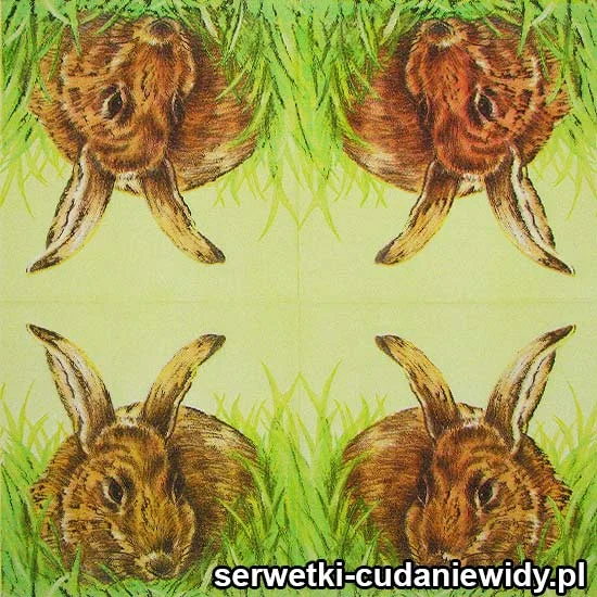 RAR3718 Piękne Serwetki
