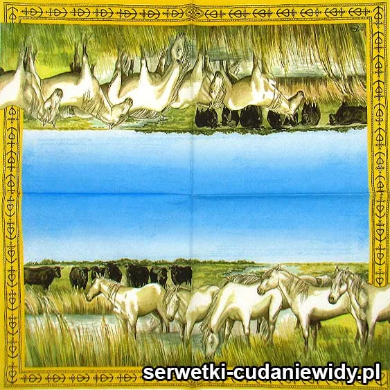 RAR3722 Serwetki Dekoracyjne