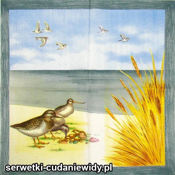 RAR3775 Serwetki Papierowe