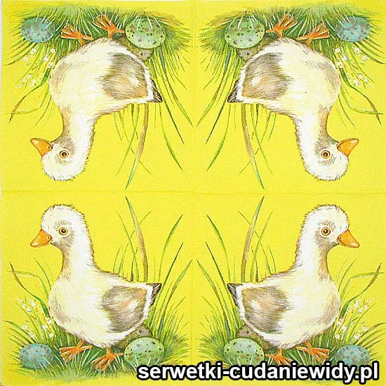 RAR3871 Eleganckie Serwetki