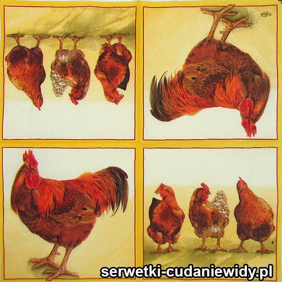 RAR587 Serwetki Dekoracyjne