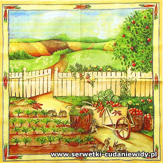 RAR817 Piękne Serwetki