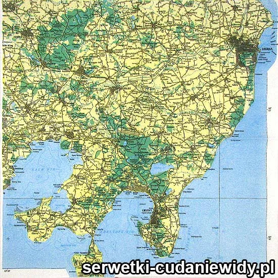 RAR833 Serwetki Dekoracyjne